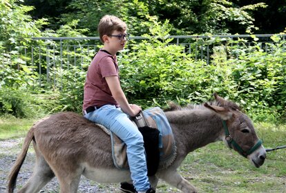 Ferienbetreuung Familien Unterstützender Dienst